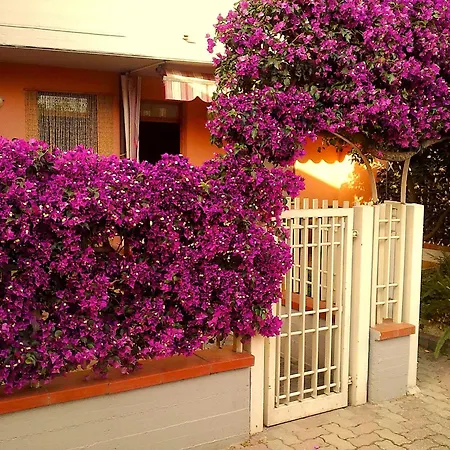Apartamento Il Giardinetto *